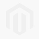 Marriott Hotels India 